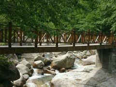 -青峰峡国家森林公园