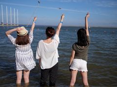 -碧海金沙