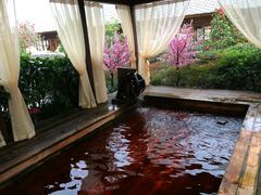 -杭州第一世界大酒店·云曼温泉