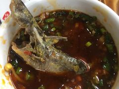 豆腐-金海椒罐罐鲢鱼(东方桂苑店)