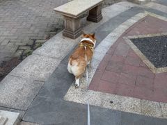 -联合动物医院(光谷诊疗中心)