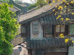 -乌镇景区