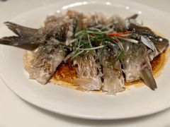 -桃源咖啡厅(武夷山大红袍山庄店)