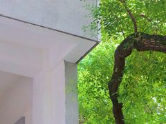 -湖北美术学院(昙华林校区)