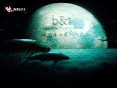 -奥斯卡国际影城(杜比全景声&4D激光店)