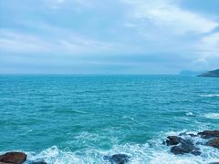 -广东惠东海龟国家级自然保护区