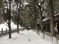 -颐和园