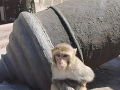 -白帝城·瞿塘峡景区