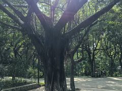 -燕晗山郊野公园