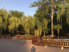 -西安市长乐公园