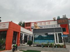 -向外鱼乐·土菜·虹鳟鱼