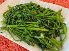 空心菜-化州大众美食城(宝安老牌店)