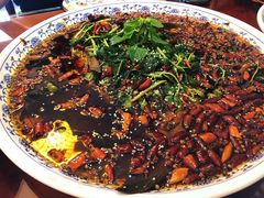 民国霸王兔-杨记隆府(白象街店)