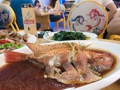 清蒸红宝石鱼-小海豚•老字号海鲜餐厅(天涯店)