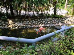 -广东茂名森林公园