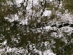 -郑和公园