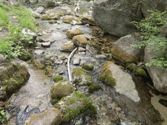 -玉渡山自然风景区