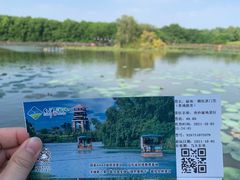 -大湾区中央湿地公园