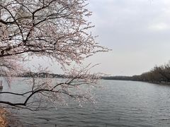 -颐和园