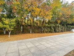 -南翠屏公园