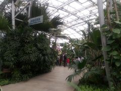 -北京植物园-展览温室