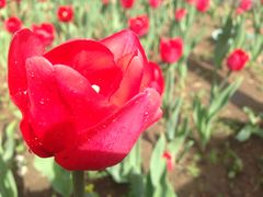 -长春公园(普阳街道)