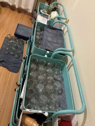 -盖氏丹辰·良咔瘦身·减脂塑形