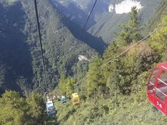-武陵山森林公园