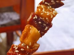 -福苗小骆驼烧烤(大唐不夜城店)