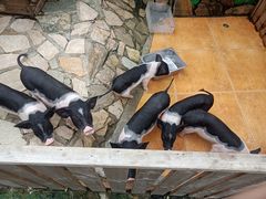 -HERRE·FARM 赫尔露营农场·团建聚会包场