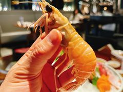 新西兰鳌虾-Mr·Fish鱼鲜生海鲜放题(银泰in99店)