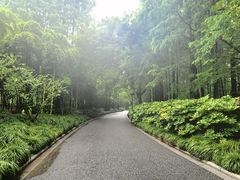 -杭州西湖柳莺里酒店