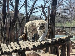 -北京野生动物园