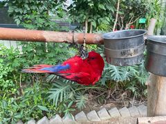 -南宫五洲植物乐园