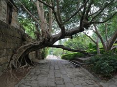 -胡里山炮台