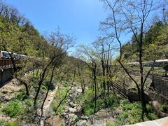 -泰山风景名胜区