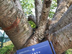 -复旦大学光华楼