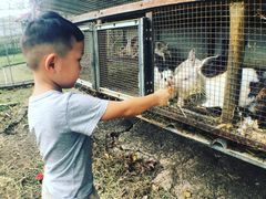 -马陆小张葡萄园农家乐