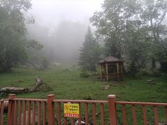 -老秃顶草原景区