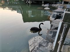 -上海怡沁园度假酒店