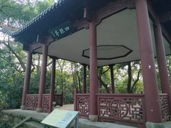 -中山公园
