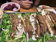 -福苗小骆驼烧烤(莲湖路店)