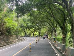 -大雁山风景区
