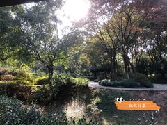 -杭州半山国家森林公园