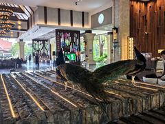 -西双版纳融创皇冠假日度假酒店