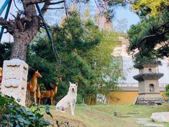 -龙华寺