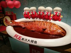 -阿五黄河大鲤鱼(英协路店)