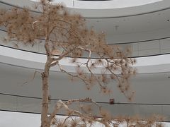 -上海宝龙美术馆