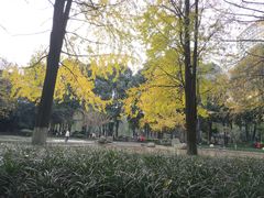 -温江公园