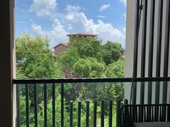 -上海崇明金茂凯悦酒店